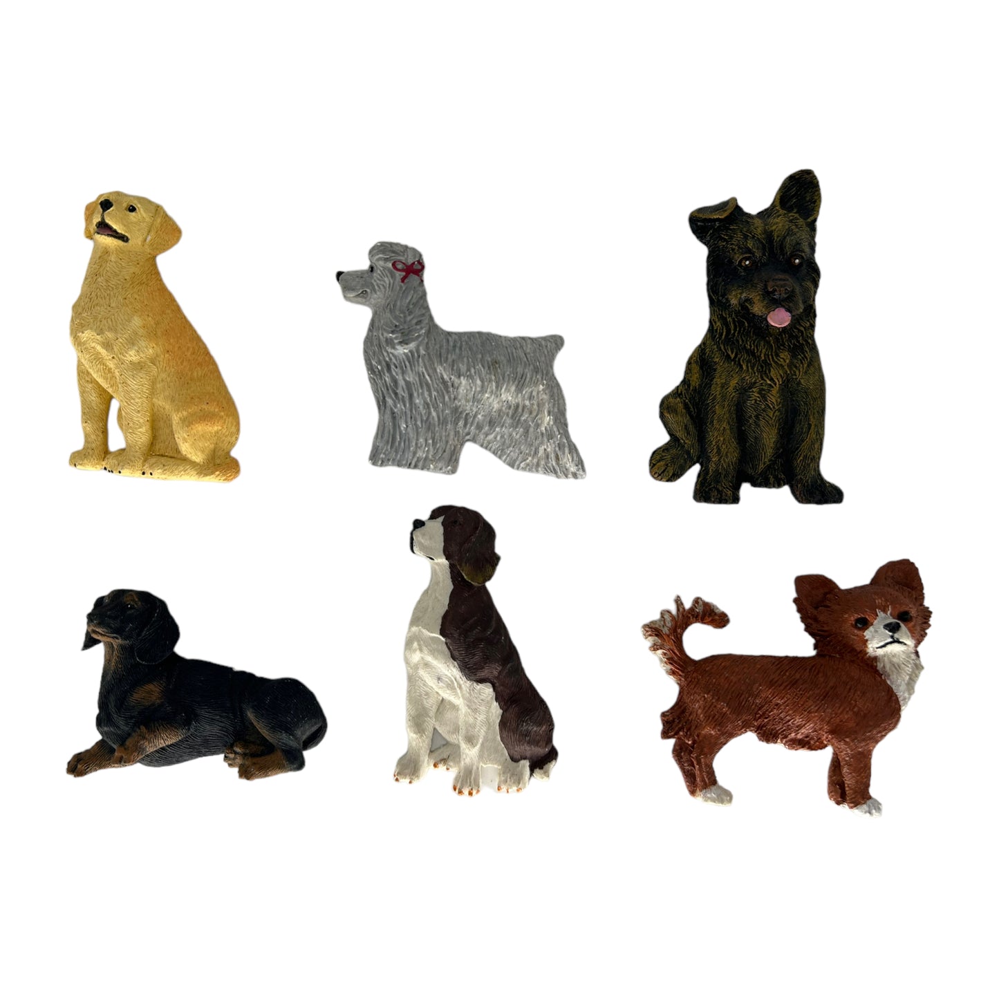 Iman Cabeza Perros Surtidas